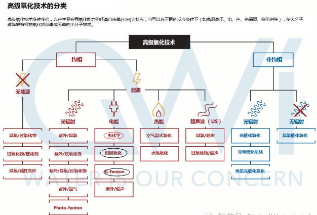 乐鱼科技