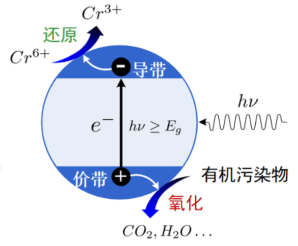 乐鱼科技