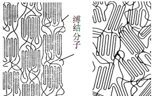 乐鱼科技