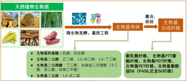 乐鱼科技
