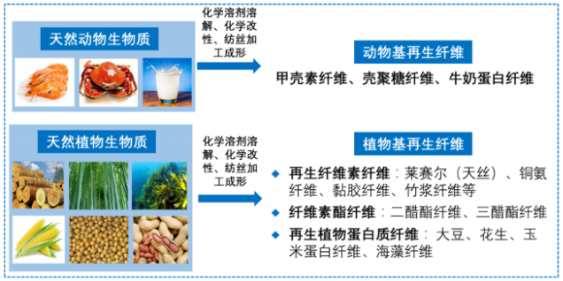 乐鱼科技
