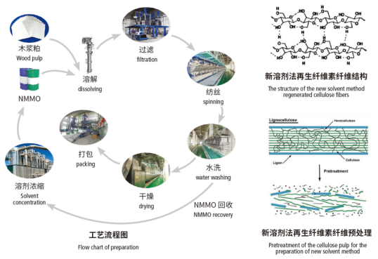 乐鱼科技