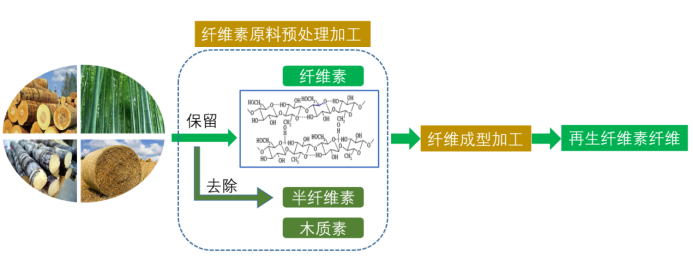 乐鱼科技