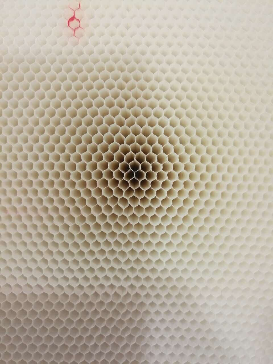 乐鱼科技
