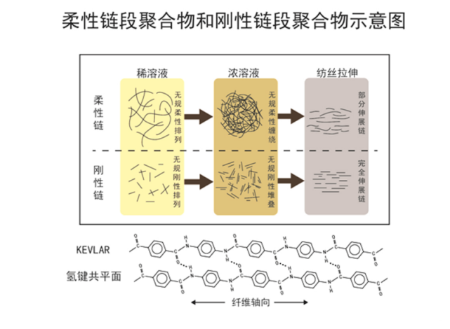 乐鱼科技