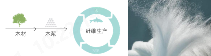乐鱼科技
